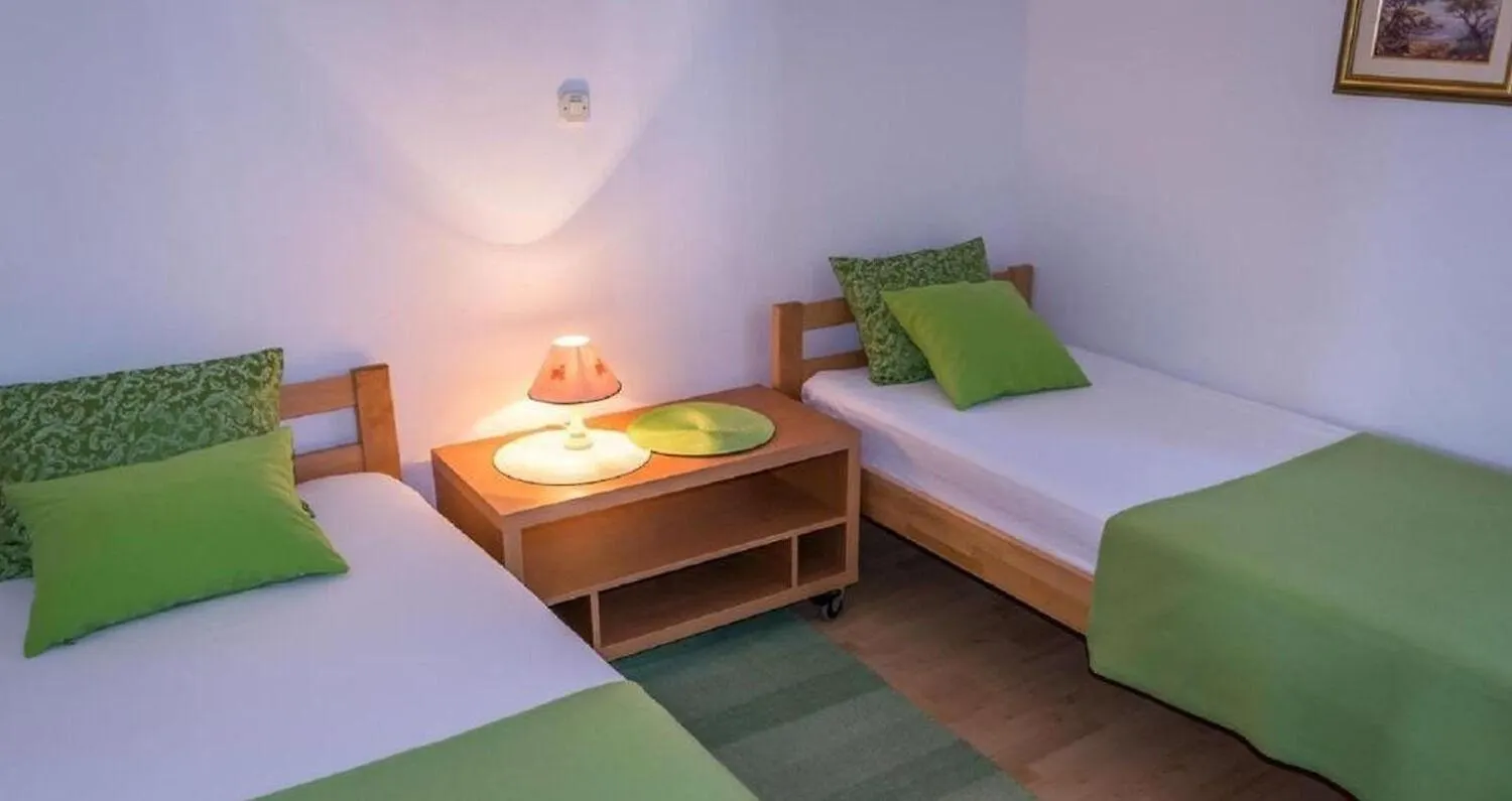 Apartments Brane - 100M From The Beach 特罗吉尔